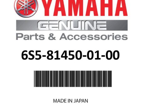 Yamaha 6S5-81450-01-00 - Rotor assy Online Hot Sale